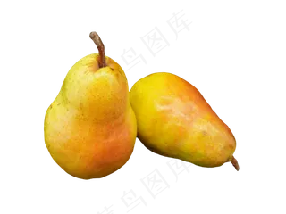 水果食物太婆梨