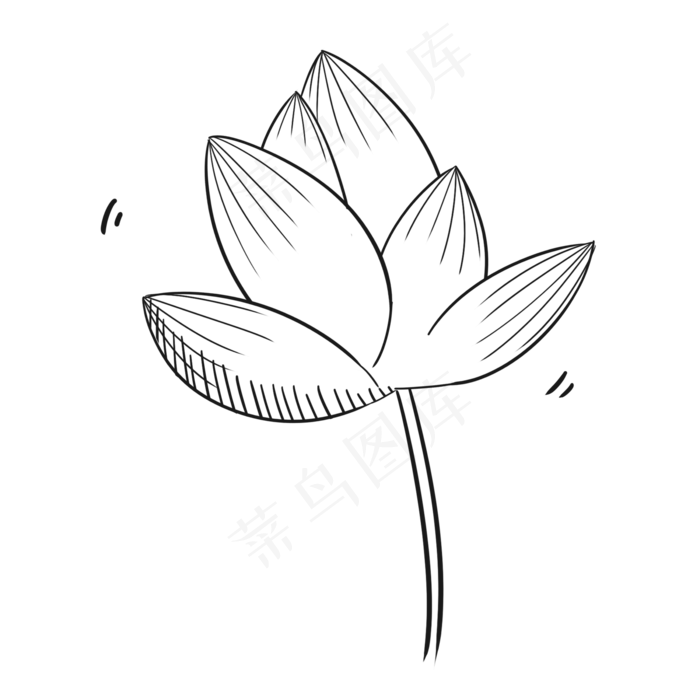 黑白小清新唯美夏季荷花(2000X2000(DPI:300))psd模版下载