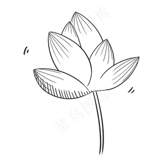 黑白小清新唯美夏季荷花