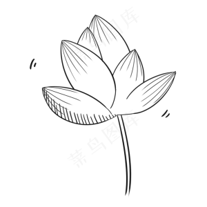 黑白小清新唯美夏季荷花