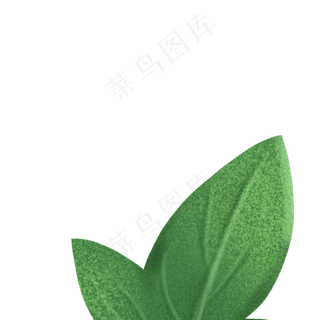 卡通植物绿叶下载
