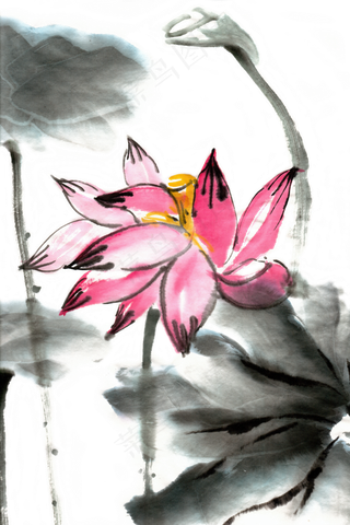 夏日荷花鲜艳水墨画PNG免抠素材