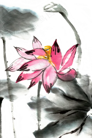 夏日荷花鲜艳水墨画PNG免抠素材