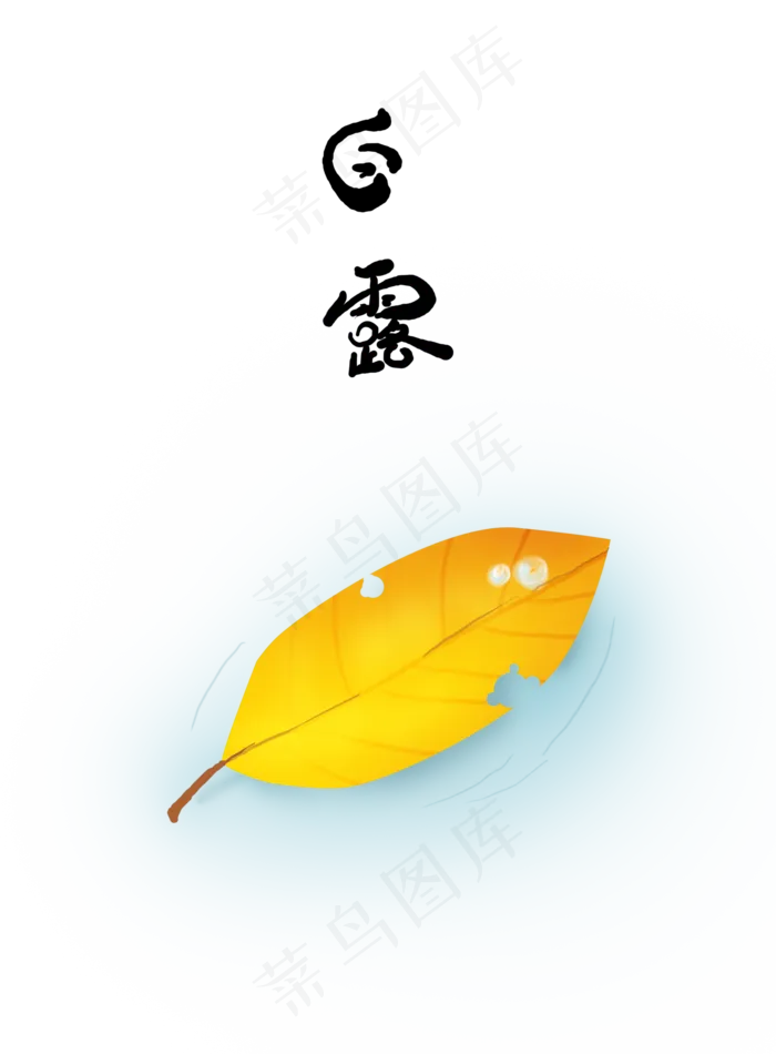 白露叶子上的露珠(1990X2700(DPI:300))psd模版下载
