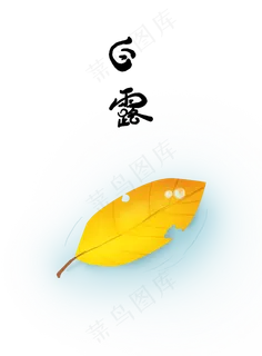 白露叶子上的露珠