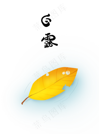 白露叶子上的露珠