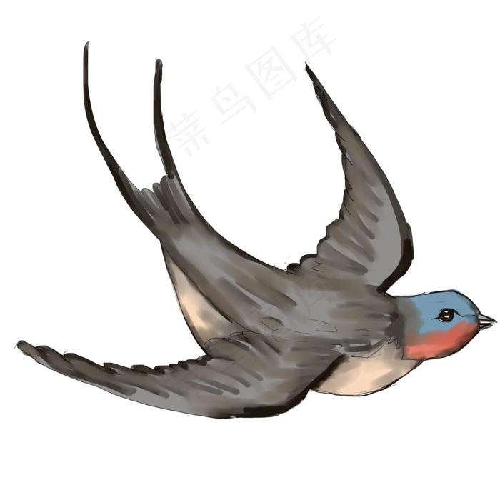 手绘水彩燕子插画