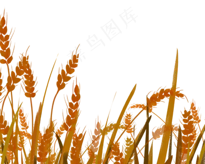 芒种节气黄金风景稻草人