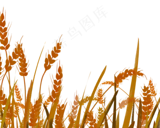 芒种节气黄金风景稻草人