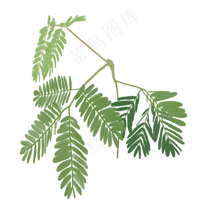 植物含羞草水彩手绘图(3000X2000(DPI:300))psd模版下载