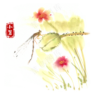 小暑果实上的豆娘水墨画