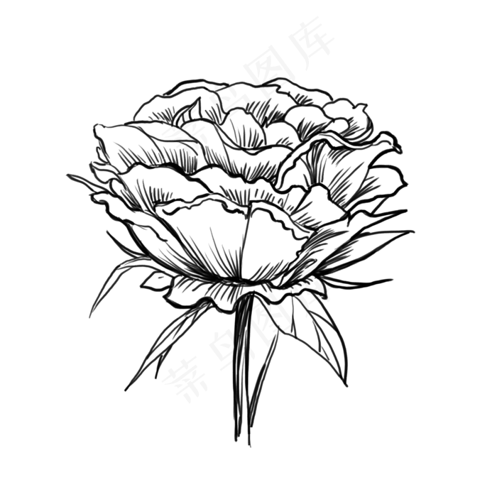 手绘涂鸦水彩花卉