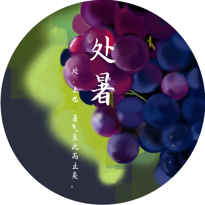 二十四节气处暑葡萄免扣素材(3000X3000(DPI:300))psd模版下载