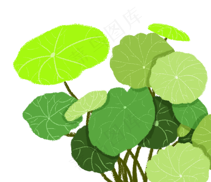 植物叶子(885X765(DPI:300))psd模版下载