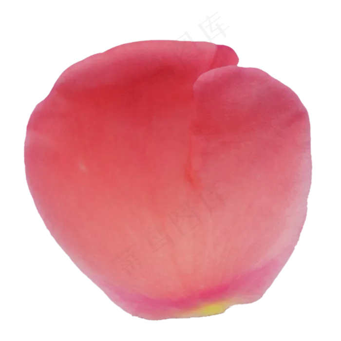 红色玫瑰花瓣(2000X3000(DPI:300))