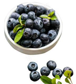 蓝莓水果