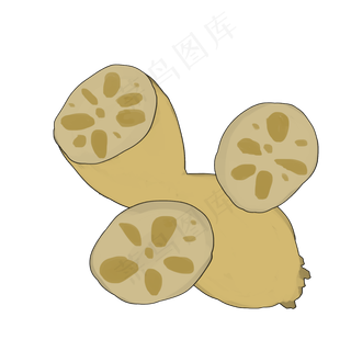 河藕黄色健康营养