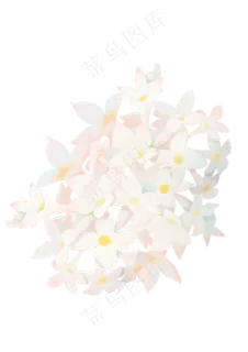 绣球花球花瓣插绘