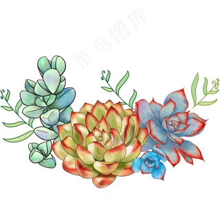 多肉组合PNG素材,免抠元素