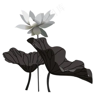 灰色系的荷花免抠图
