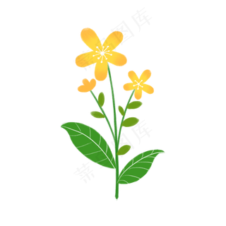 春天绿色植物黄色花朵,免抠元素