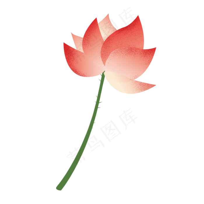 一朵红色的开着的荷花免抠图