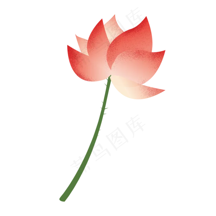 一朵红色的开着的荷花免抠图(2000X2000(DPI:300))psd模版下载