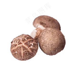 香菇（png免抠）
