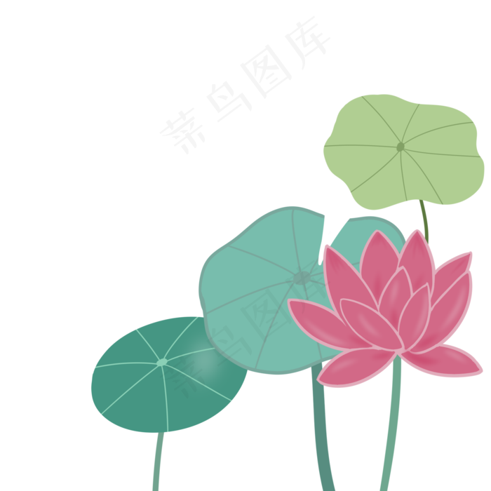 夏天荷花荷叶装饰图案