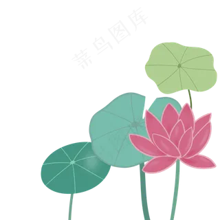 夏天荷花荷叶装饰图案