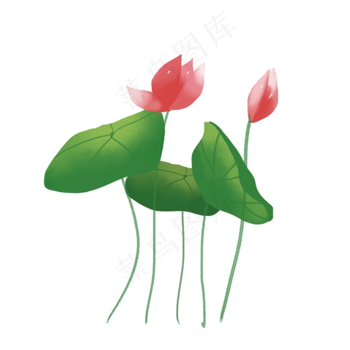 彩色荷花png素材(2000X2000(DPI:300))psd模版下载