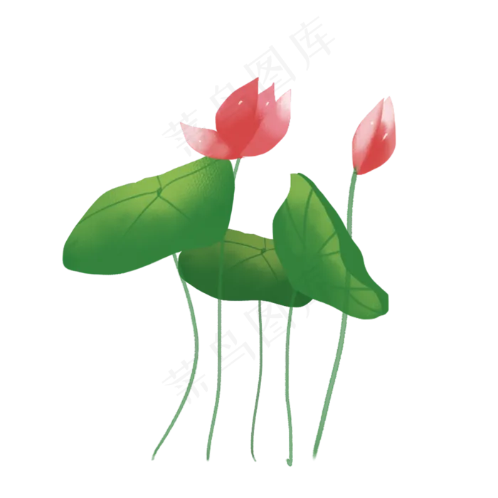 彩色荷花png素材(2000X2000(DPI:300))psd模版下载