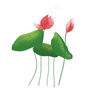 彩色荷花png素材