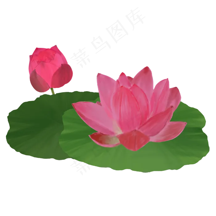 处暑荷花商用手绘元素(2000X2000(DPI:150))psd模版下载