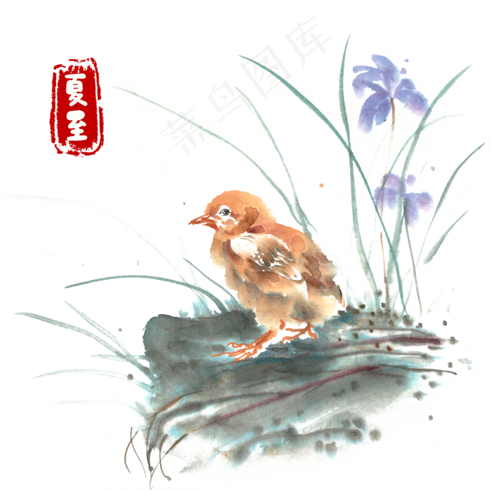 夏至草丛小鸡水墨画(4724X4724(DPI:300))psd模版下载