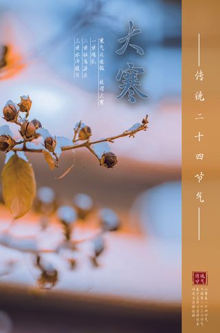 简约中国传统节气二十四节气大寒