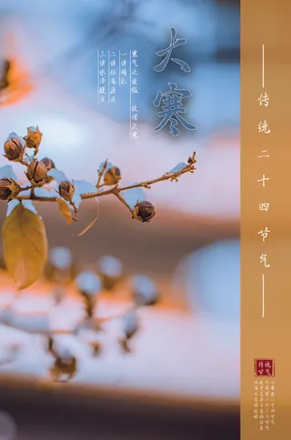 简约中国传统节气二十四节气大寒