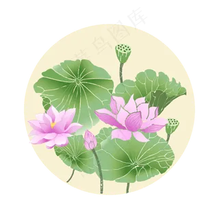 荷花荷花花卉 荷花荷花花卉