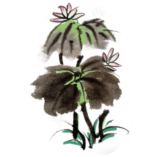 荷花荷叶水墨手绘风