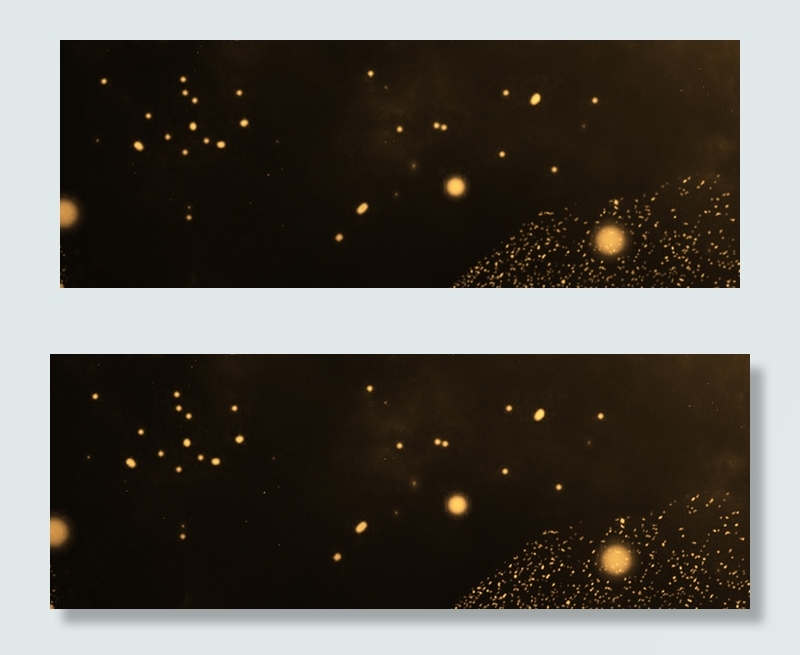 双12黑金促销简约黑色banner