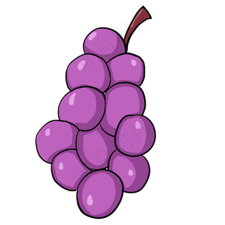 葡萄紫色叶子水果甜味