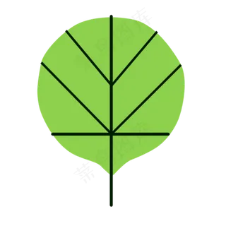 绿色圆扇子形状叶子免抠图