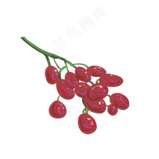 夏季水果清新提子