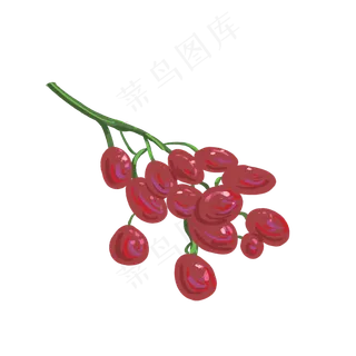 夏季水果清新提子