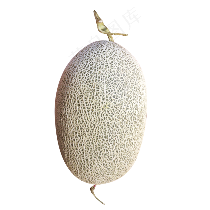 水果哈密瓜