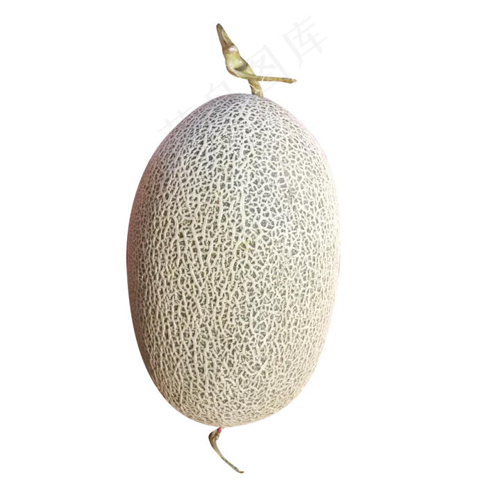 水果哈密瓜(2500*2500px 300 dpi )