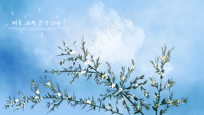 小清新夏天夏季开放的花朵(2880*1620px 300 dpi )psd模版下载