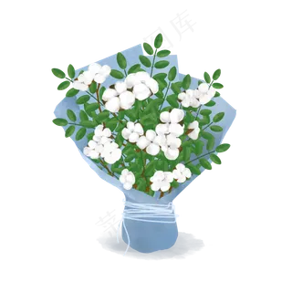 商用棉花花语植物花草手绘插花花,免抠元素