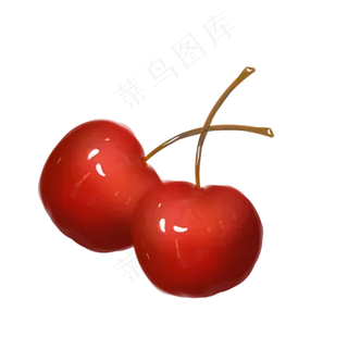 新鲜的樱桃手绘装饰