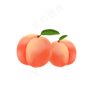 桃子水果手绘 桃子水果手绘